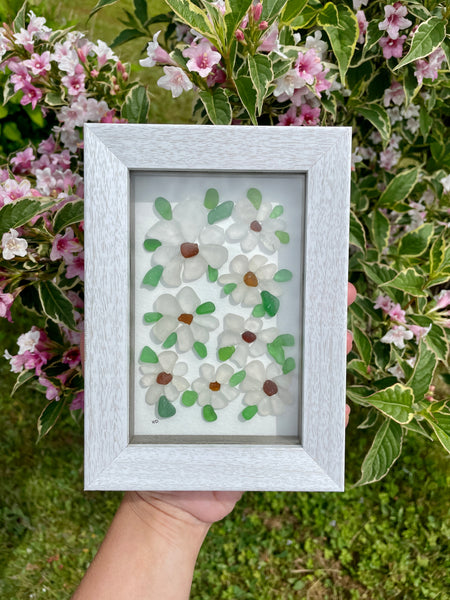 Nova Scotia Daisy Wildflowers - Framed Seaglass Art